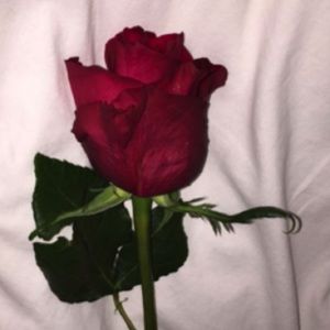 Meet your Posher, Lauryn